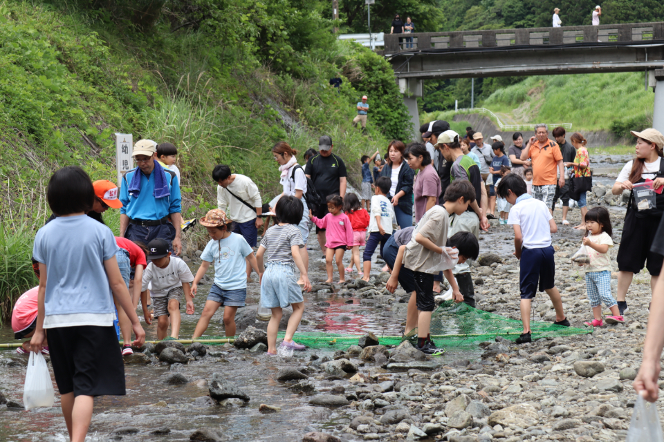 芝川日和 梅の里 稲子まつり