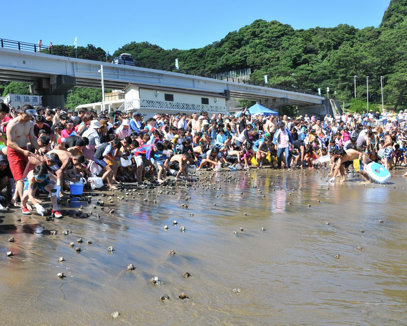 雲見温泉サザエ狩り
