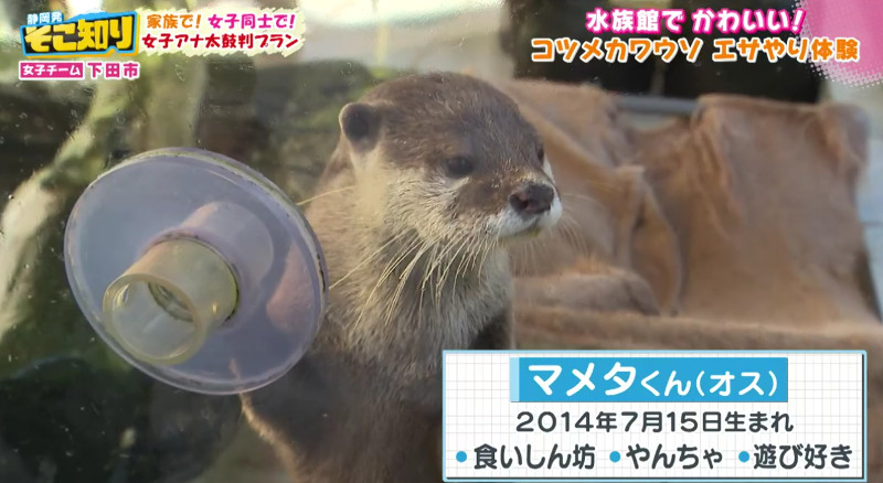 下田