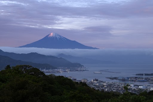 富士山、世界遺産10年！四季折々の表情を静岡各地から切り取りました