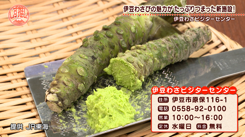 2024年4月にオープン！伊豆わさびの魅力を五感で楽しむ【伊豆わさ