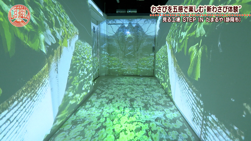 田丸屋本店 見る工場】わさびの辛み体験から幻想的なアート空間まで