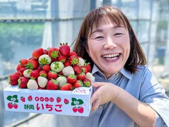 すごい激安！800円の食べ放題&持ち帰り放題イチゴ狩り。直売所せん