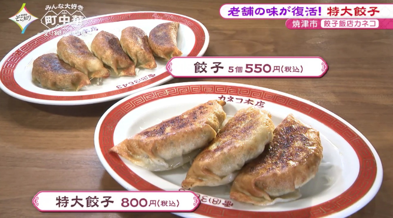 餃子飯店カネコ】焼津名物！特大ジューシー餃子が味わえる町中華／焼津