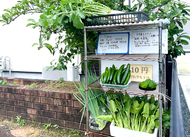 無人野菜スタンド 販売所 【引き取り限定】 【公式通販】
