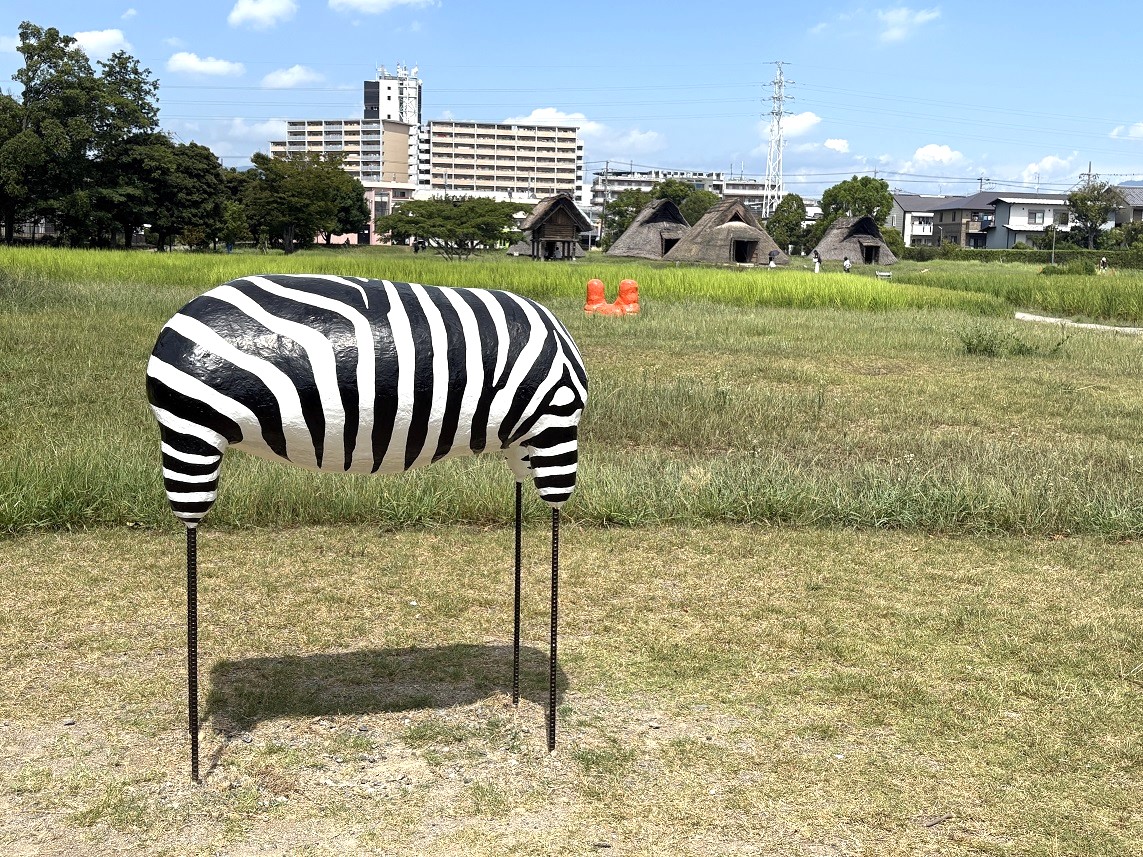 登呂遺跡で柴田美千里さん（藤枝市出身）の作品展示「いせきもZOO
