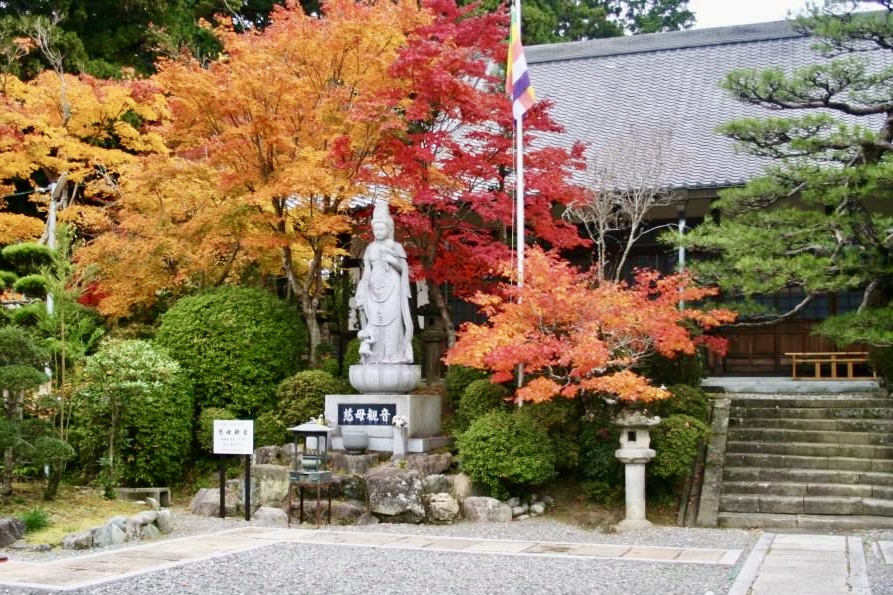 可睡斎】徳川家康ゆかりのグルメな禅寺で紅葉を満喫！12月7日まで