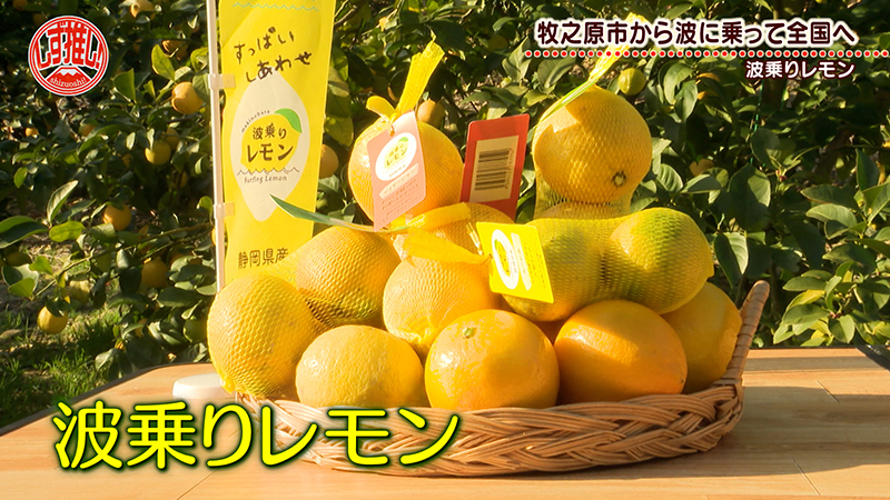 静岡西部発★シモンズ★愛知県への自配送で商談済Tomokazu！ シモンズベッド ゴールデンウィークセール！inカイタックリビングアメ