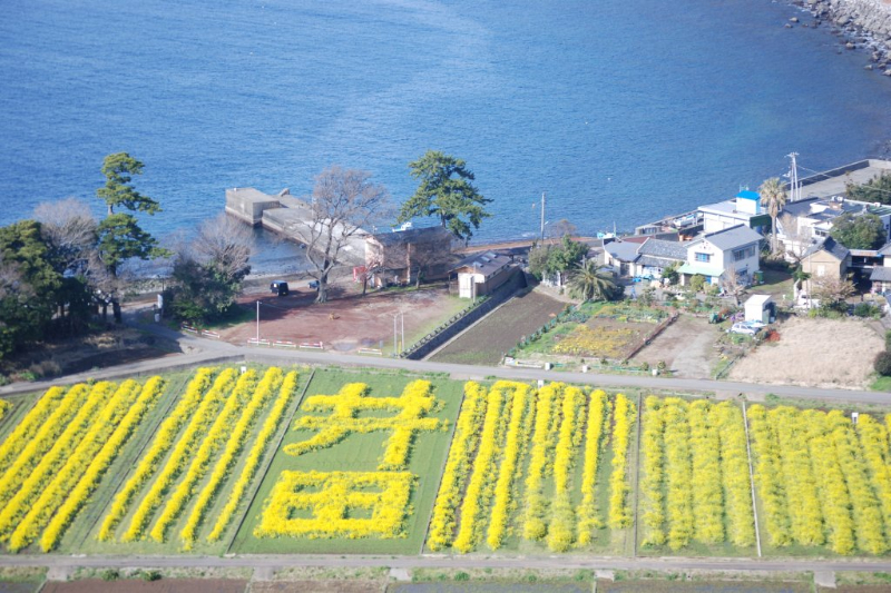 1月24、25日に開催！沼津・熱海・東伊豆ほか【静岡県東部エリア】の