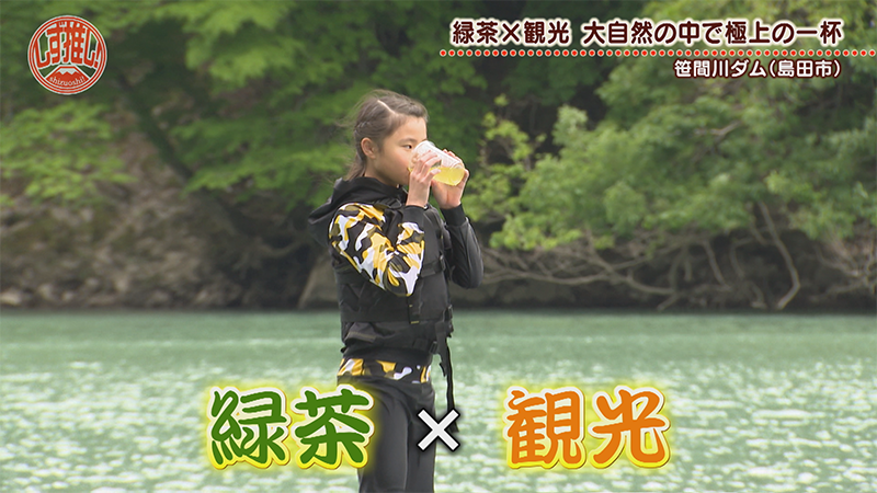 静岡で楽しむSUPと緑茶のコラボ体験