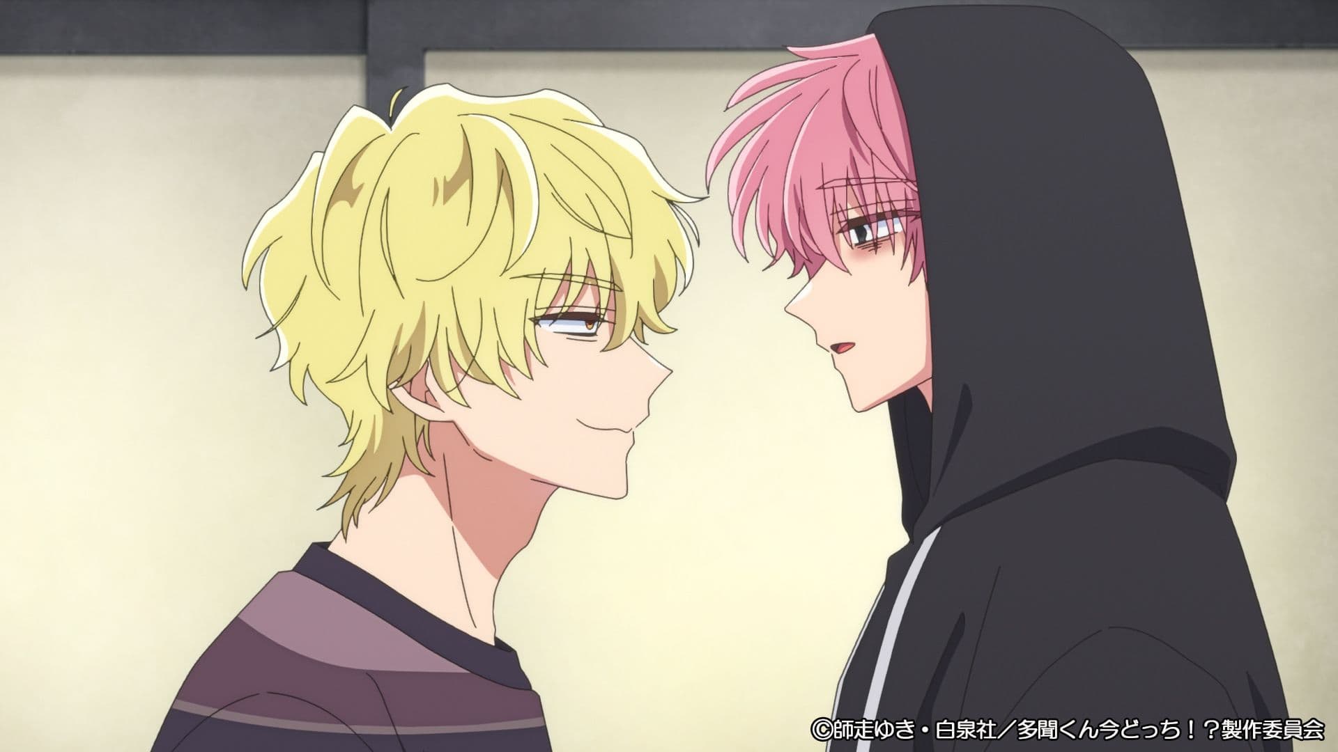 推し活の共感度MAX！TVアニメ『多聞くん今どっち！？』最新情報 