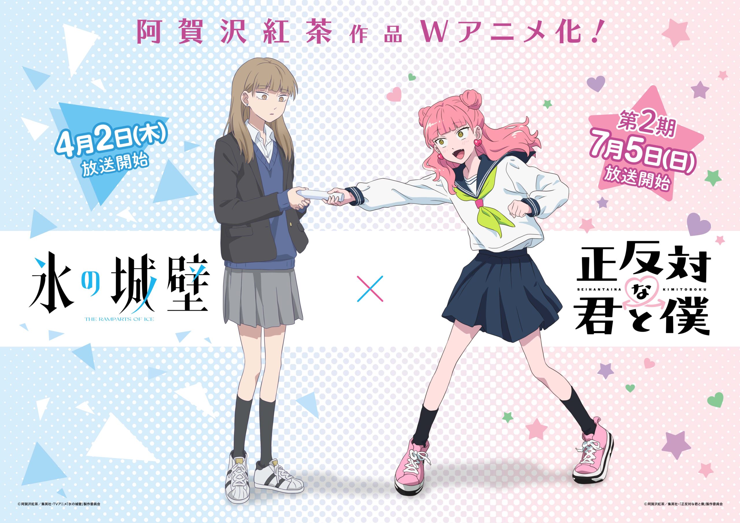 阿賀沢紅茶アニメイヤー開幕！夢のコラボレーションが実現！ | あつめ