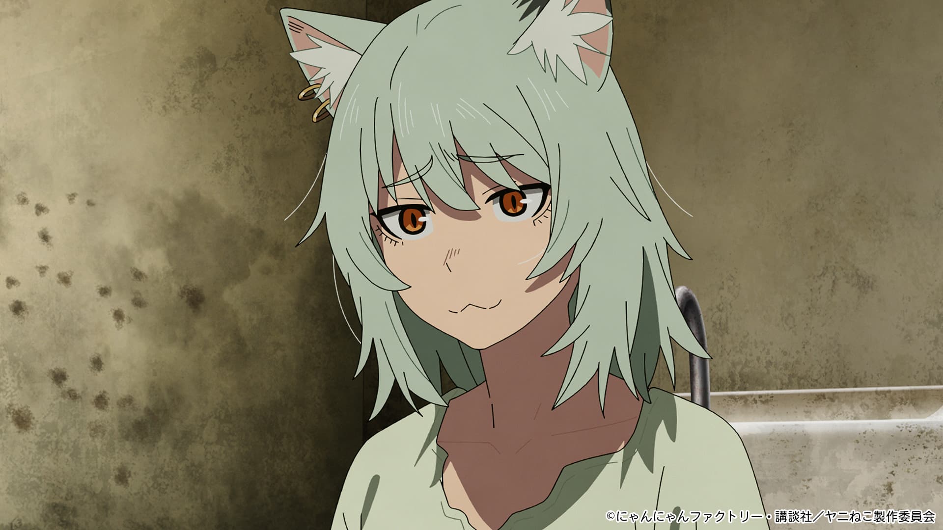 TVアニメ『ヤニねこ』最新情報！第9話の衝撃展開に注目！ | あつめでぃあ