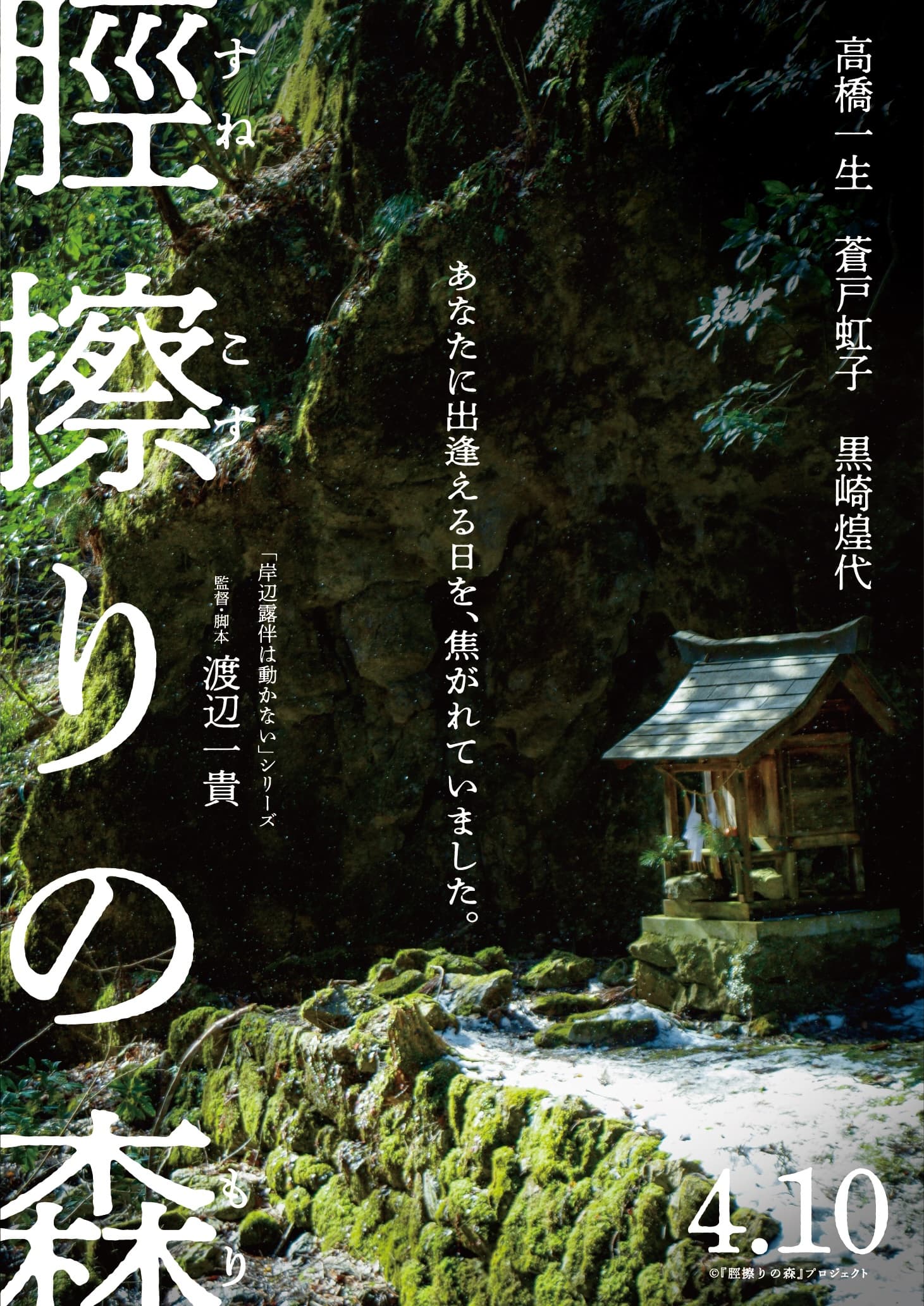 映画『脛擦りの森』、ついにベールを脱ぐ！高橋一生主演、渡辺一貴監督が贈る新たな傑作