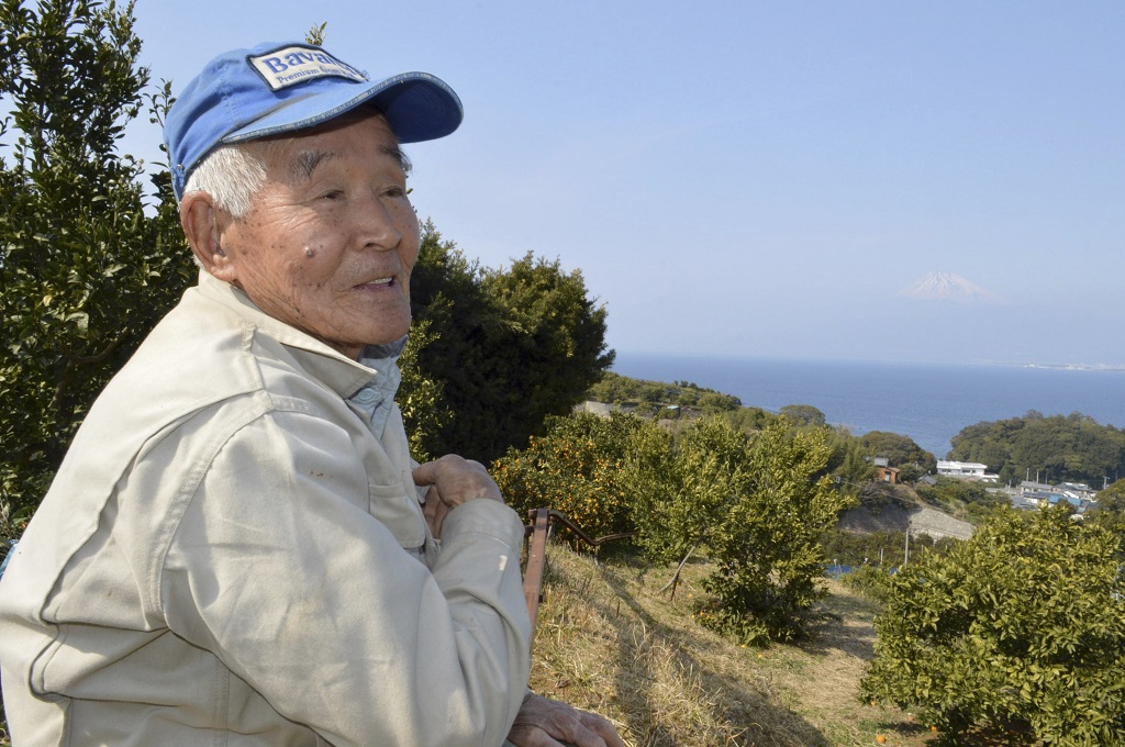 駿河湾が一望できる畑に立つ山田寿太郎さん。毎日通い樹木の状態を見る＝２月中旬、沼津市西浦