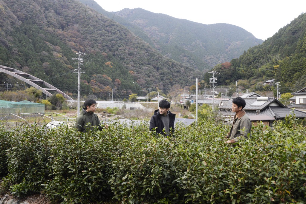 製茶工場を運営し、新たな発想で商品開発に取り組む水野さん(中央)と池崎さん(左)、梶原さん=静岡市葵区渡