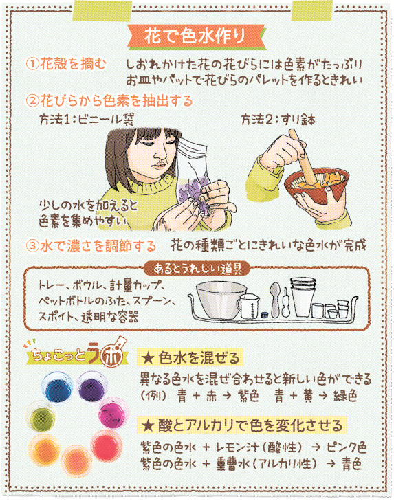 春の花で色水作り 化学実験の面白さも もっと自然遊び ちょこっとラボ あなたの静岡新聞