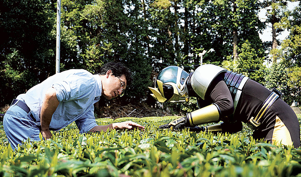 生育状況を確認する吉田さん（左）と茶神８８８＝茨城県古河市（提供写真）