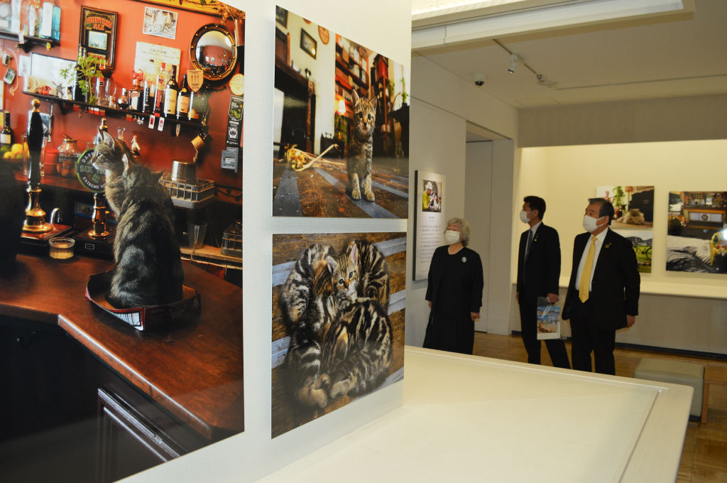 世界各地のネコの写真を並べた「世界ネコ歩き２」＝三島市の佐野美術館