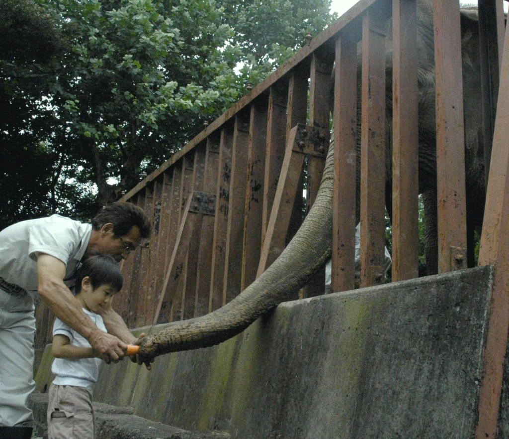 ゾウへの餌やりを楽しむ子ども=静岡市駿河区池田の市立日本平動物園