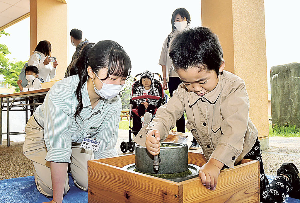 石臼で粉末茶作りを体験する来場者＝富士市の富士山こどもの国