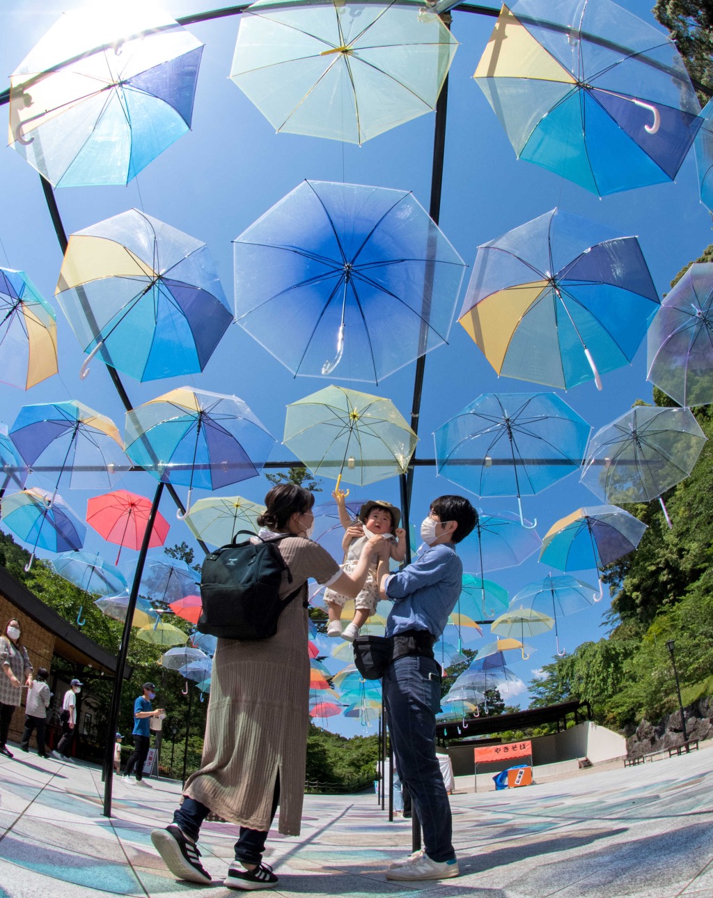 色とりどりの傘が、空に浮かんだように飾り付けられている（魚眼レンズ使用）