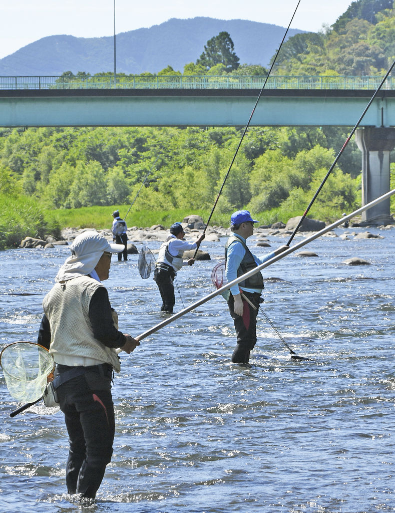 藁科川でアユ釣り大会 ４年ぶり開催 静岡市葵区 あなたの静岡新聞