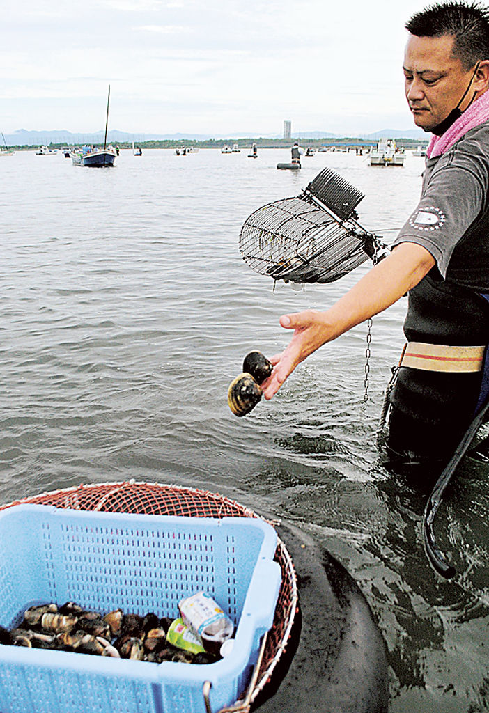 試験操業を行っている浜名湖のハマグリ漁＝１２日午前、浜松市西区