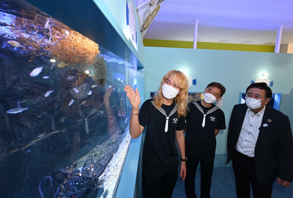 さまざまな海洋生物の幼魚や幼生を展示する「幼魚水族館」＝清水町のサントムーン柿田川