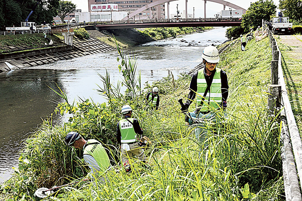 岸に伸びた雑草を刈る参加者＝富士市の潤井川