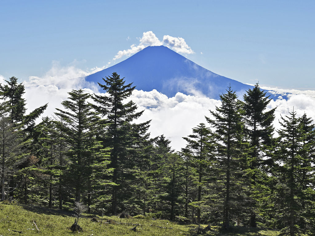 雲の合間から姿を見せた夏富士＝静岡市葵区の山伏山頂