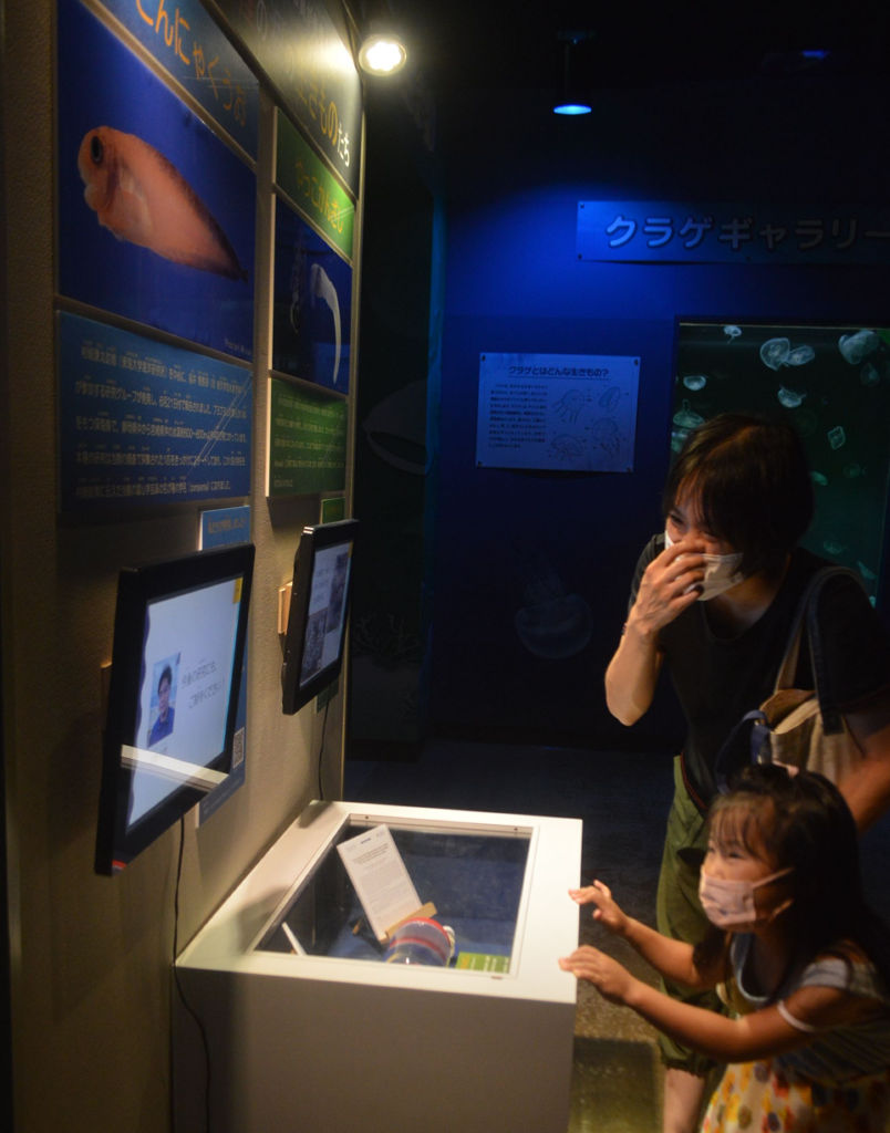 フジコンニャクウオなどの展示を見る親子連れ＝静岡市清水区の東海大海洋科学博物館