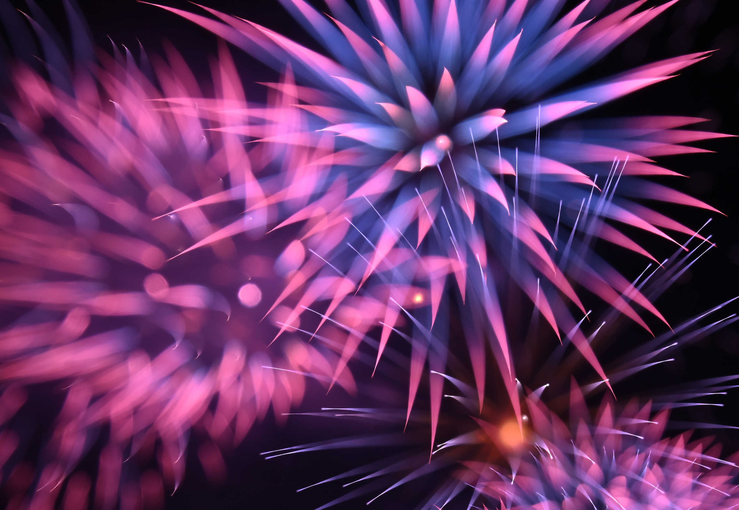 狩野川花火大会で打ち上げられた花火。長時間露光でピントをずらしながら撮影すると、カラフルな“花弁”が浮かんだ＝７月３０日、沼津市