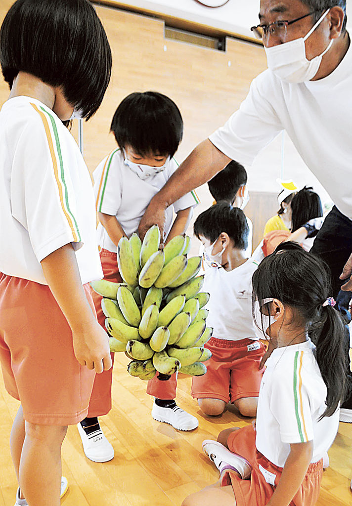 沖縄産バナナの一房に触れる園児＝浜松市東区のありたまこども園