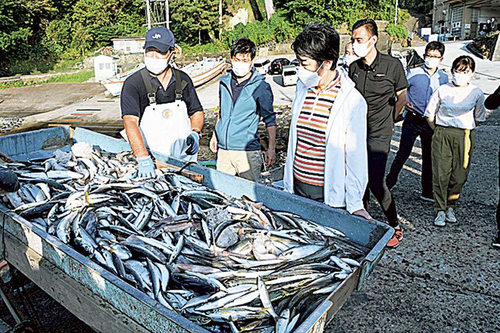 定置網漁の現場を視察する上川陽子会長（左から３人目）ら＝２４日午前、伊東市の富戸港