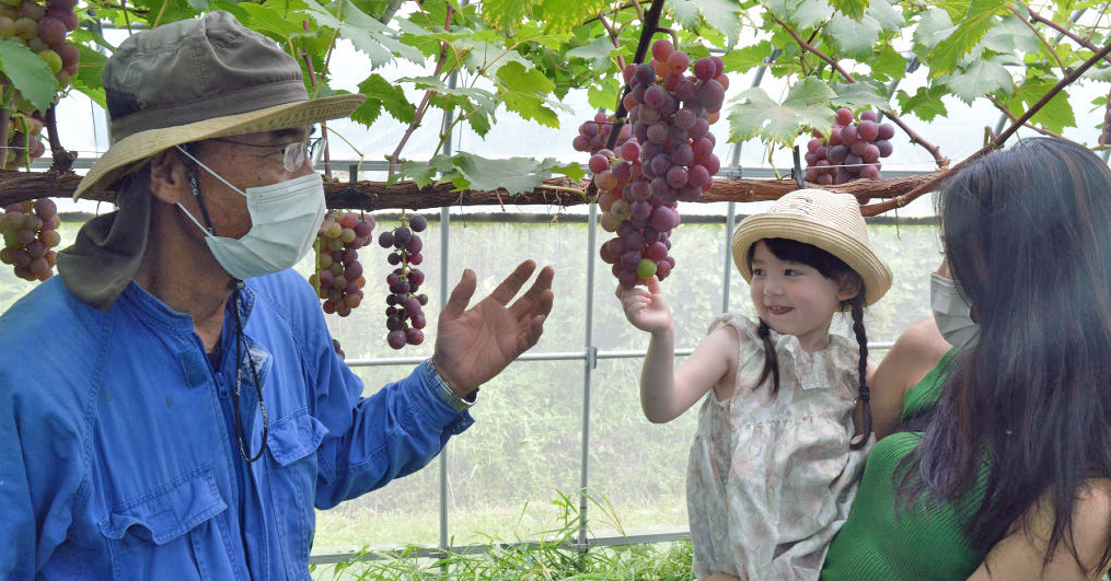 苦労して生産したブドウを紹介する栗田さん（左）＝沼津市原