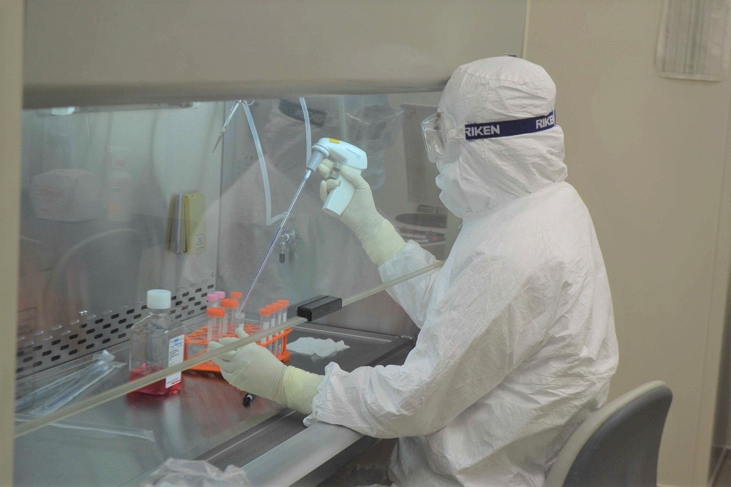 がん免疫細胞療法のさまざまな解析に取り組む県立静岡がんセンター研究所