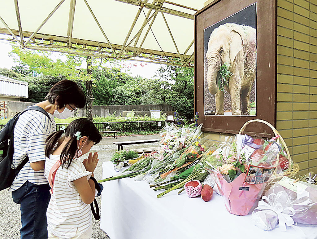 献花台の前で手を合わせ、「ハマコ」の死を悼む来園者＝浜松市西区の市動物園