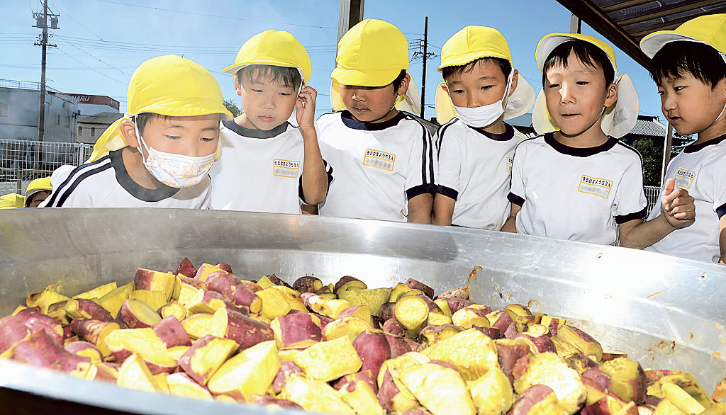 鍋に入ったイモを眺める子どもたち＝浜松市浜北区の北浜幼稚園（写真の一部を加工しています）