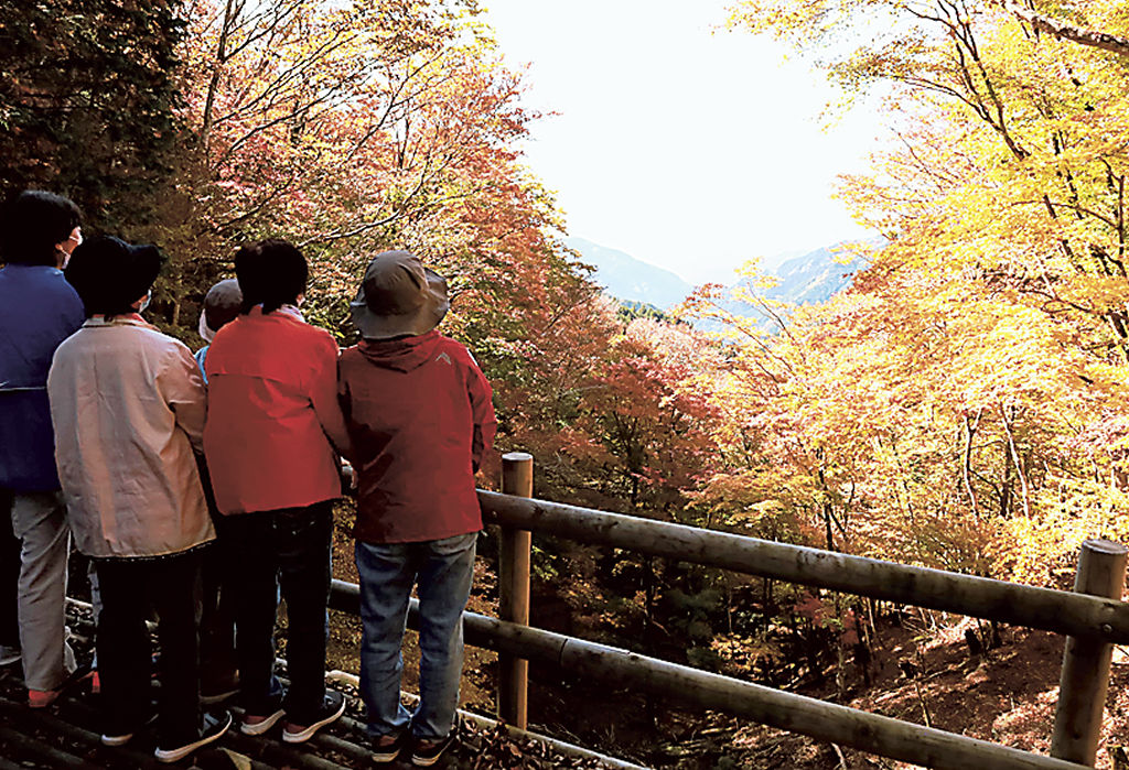 青崩峠で眺望できる紅葉の景色や古道を楽しんだツアー＝浜松市天竜区水窪町