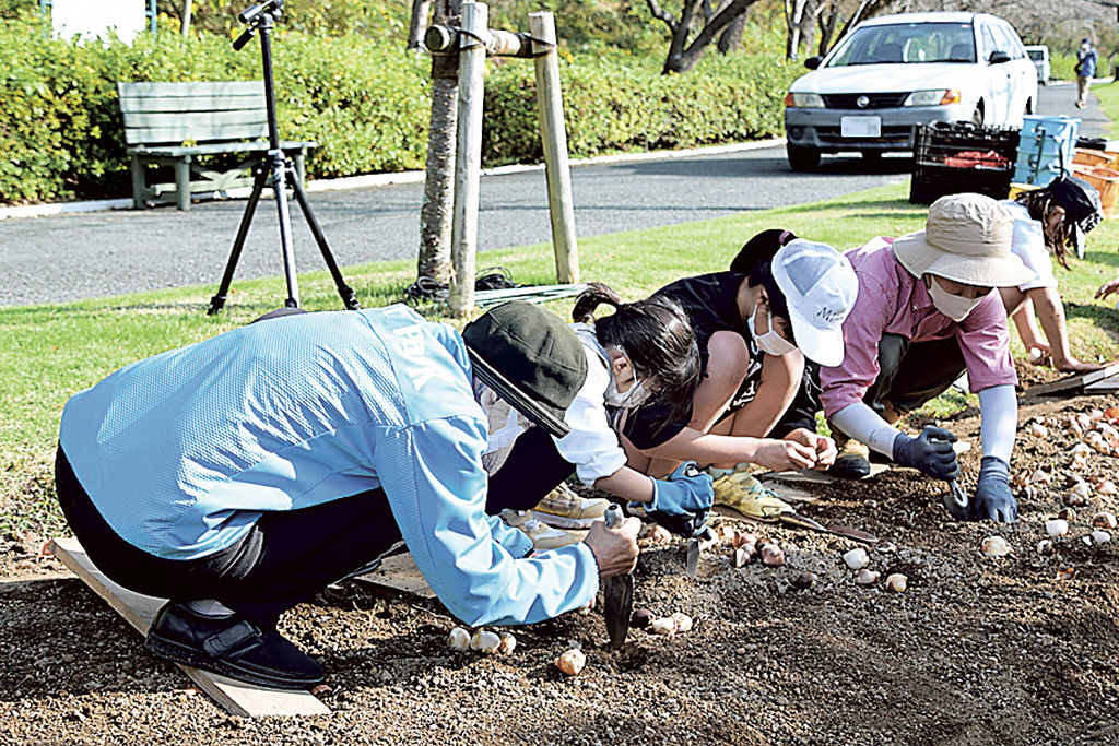 球根を植える児童ら＝浜松市西区のはままつフラワーパーク