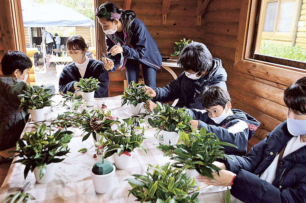 お茶の木で小さなツリーを作る参加者＝菊川市富田の火剣山キャンプ場