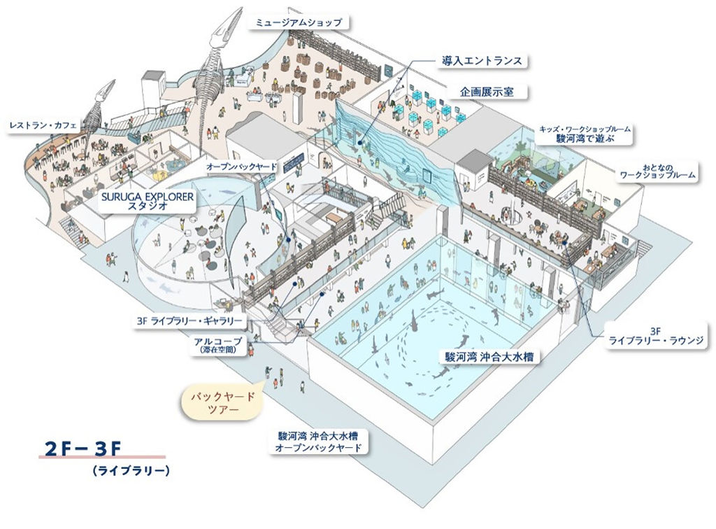 水量１７００トンの大水槽がある「静岡市海洋・地球総合ミュージアム」の２～３階内部のイメージ（同市提供）