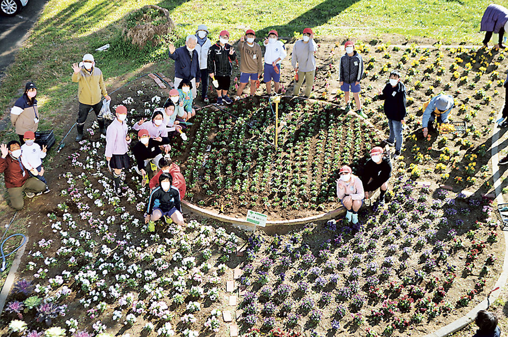 中央の丸い花壇に白い花で１５０の数字を表現した児童ら＝掛川市立第一小