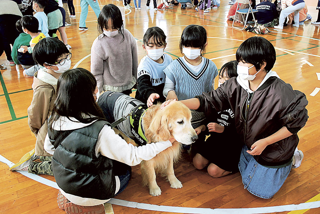 犬との接し方に理解を深める子供たち＝富士市の岩松北小