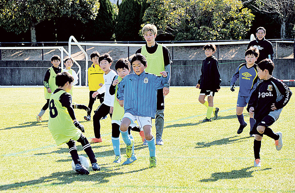 懸命にボールを追いかける子どもたち＝磐田市南平松の竜洋スポーツ公園