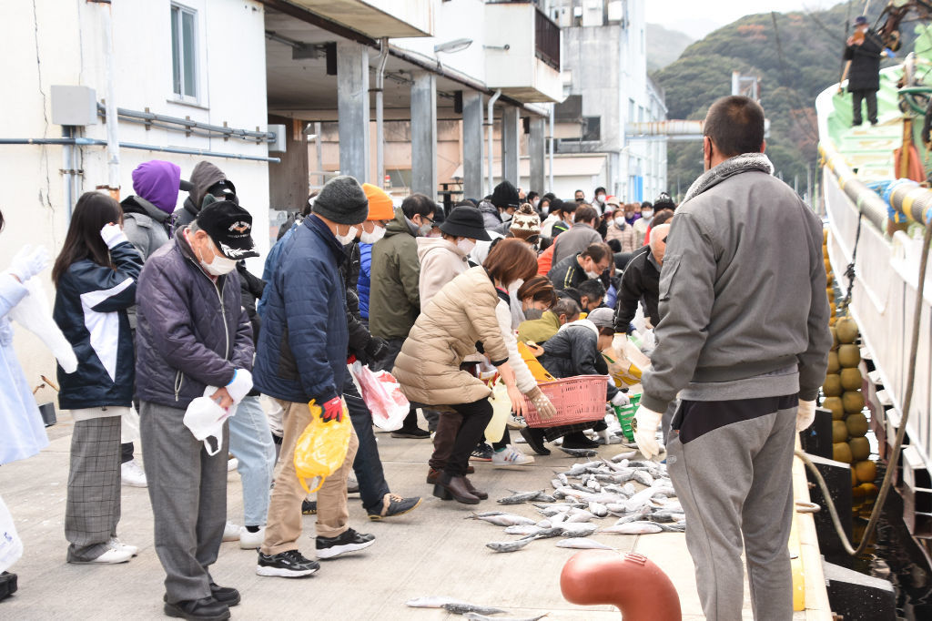 港に設置されたサバを拾い集める地域住民ら＝西伊豆町安良里