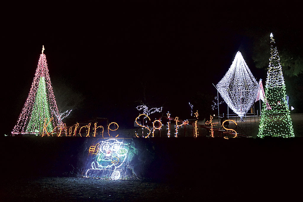 約５万個の電球が冬の夜を彩るイルミネーション＝島田市川根町家山の天王山公園