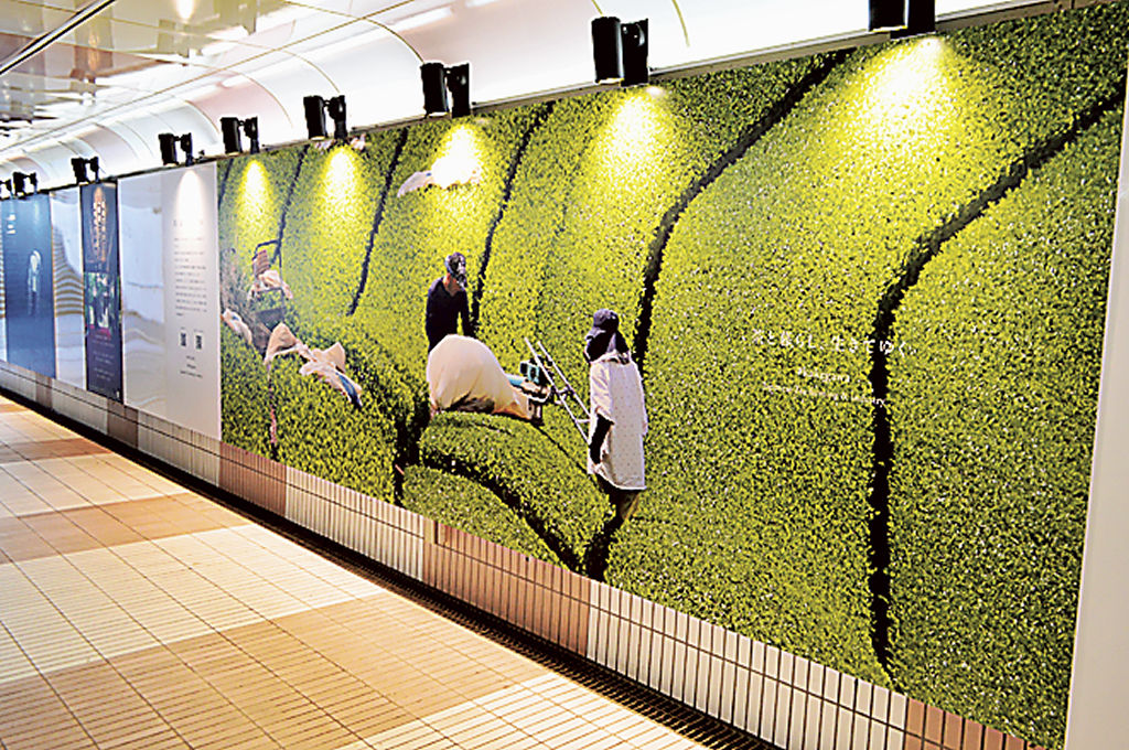 通路に設置された茶園の写真パネル＝ＪＲ掛川駅