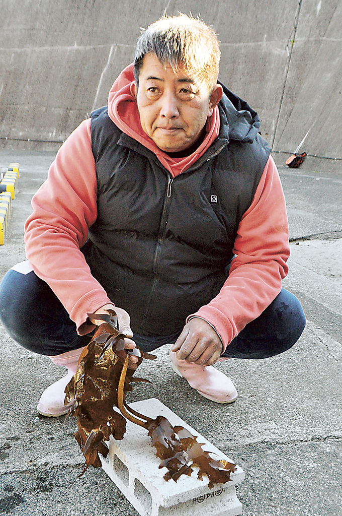 伊豆山港内で育ったカジメを手にする松本早人さん＝１０日午前、熱海市の同港